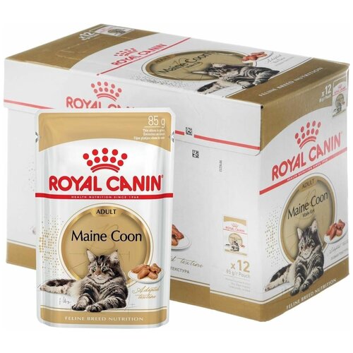  24  Royal Canin MAINE COON        -,      :,    