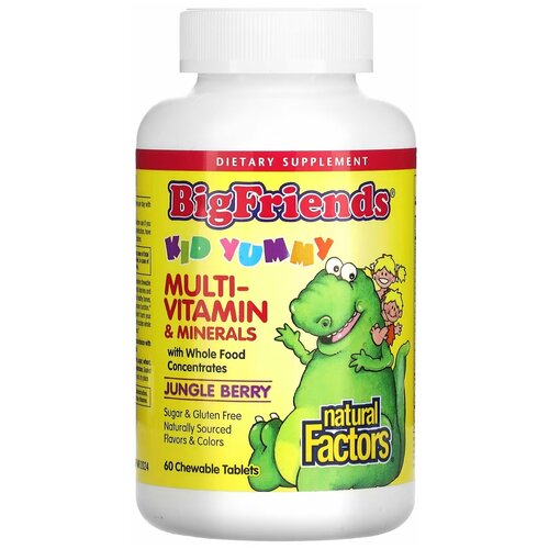  Natural Factors, Big Friends, Chewable Multi-Vitamin ans Minerals,    ,   , 60     -     , -  