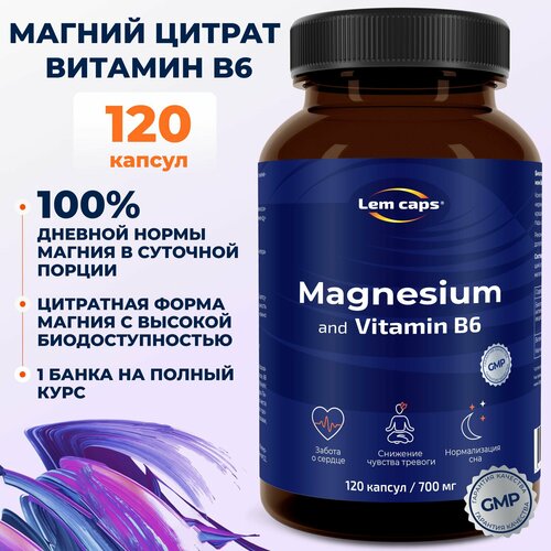      B6 ( 6),     , Magnesium Citrate 400  Lemcaps, 120    -     , -  