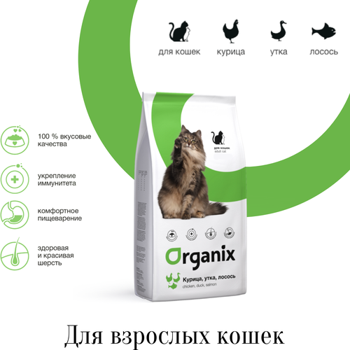  Organix    c ,      -     , -,   