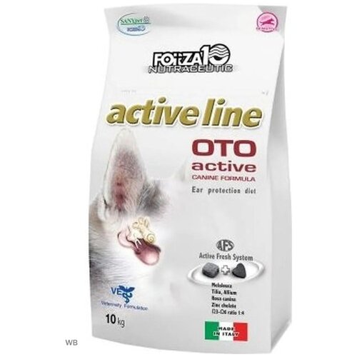      Forza10 Oto Active,      1 .  1 .  10000    -     , -  