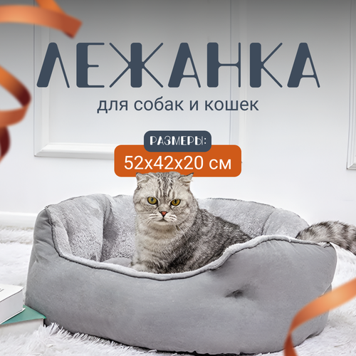 ���� ������� ��� ����� � ����� ZOOWELL ������ � ��������� � ������� �����, �����, 52*42 ��, ������ ������