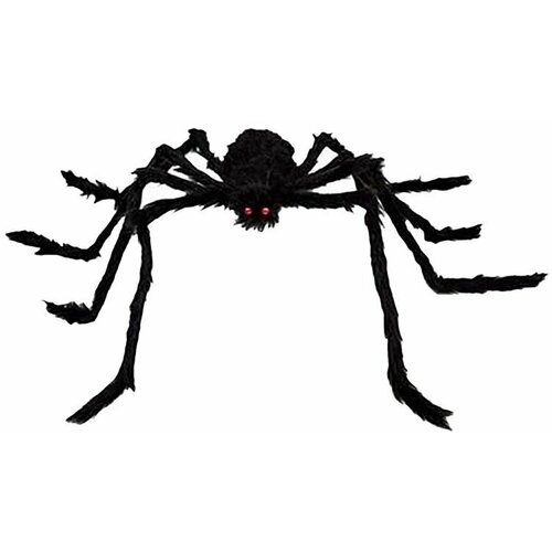 ���� ������������ ��������� 