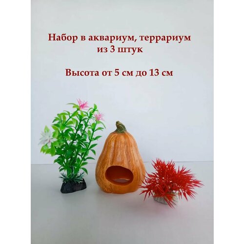 ���� ��������� ��� ���������, ������ ������