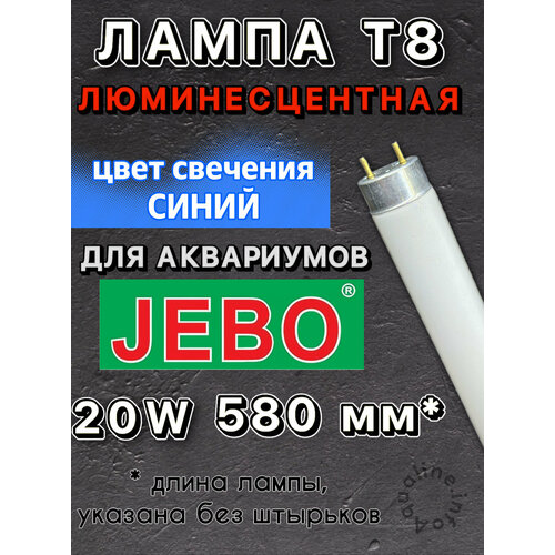   8 20W (580 )    JEBO / Marine Blue Moon     ,       -     , -  