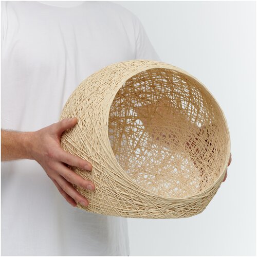 ���� ����� ��� ��������, ������ ������