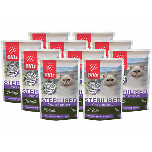  BLITZ HOLISTIC STERILIZED             85  85   10    -     , -  