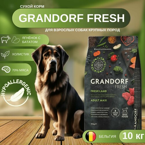    GRANDORF Fresh Dog Adult MAXI Lamb&Sweet Potato          , 10    -     , -  