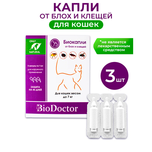  BioDoctor         3 .  ., 1 .   -     , -  