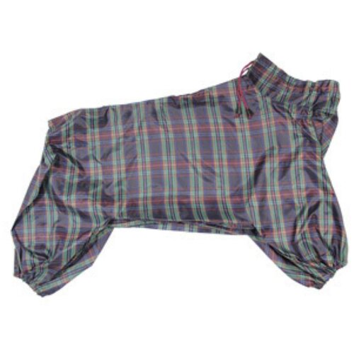 ���� ���������� �17, ��� ����� ������ �����, ������ ������