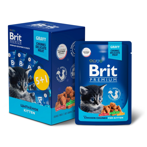   Brit Premium - 5+1      85   -     , -,   