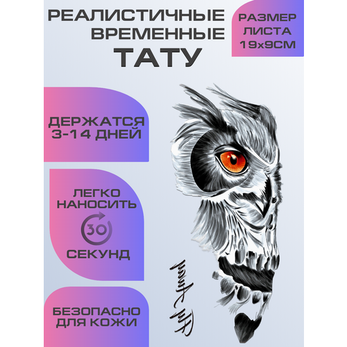 ���� ���� ���������� ��������������, ��������� ����, ������ ������