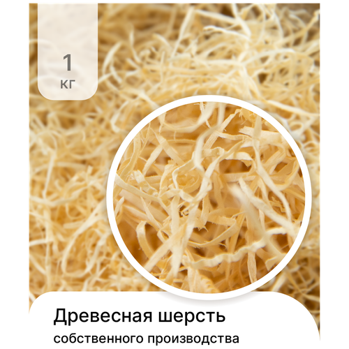 ���� ��������� ������, ����������� ���������, ����������� ��� �������� 1��, ������ ������