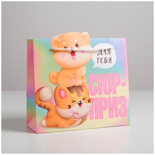 ���� ����� ���������� ������ ������� �������, 25 x 26 x 10 ��, ���������, ������ ������