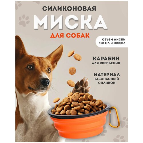 ���� ����� �������� ����������� �������� 350 ��. ��� ��������, � ���������, ������ ������, ���������., ������ ������