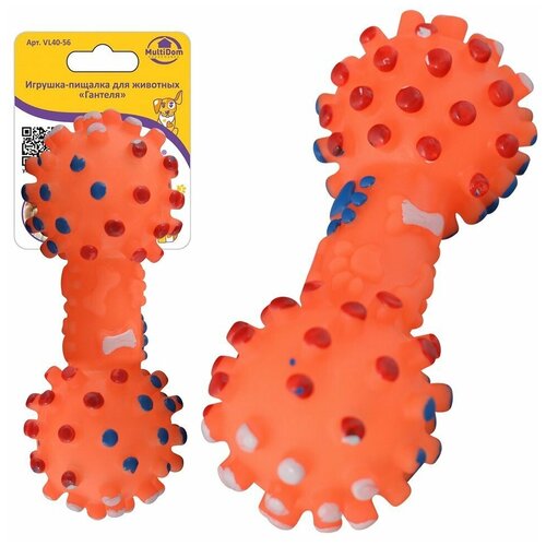 ���� �������-������� ��� �������� 