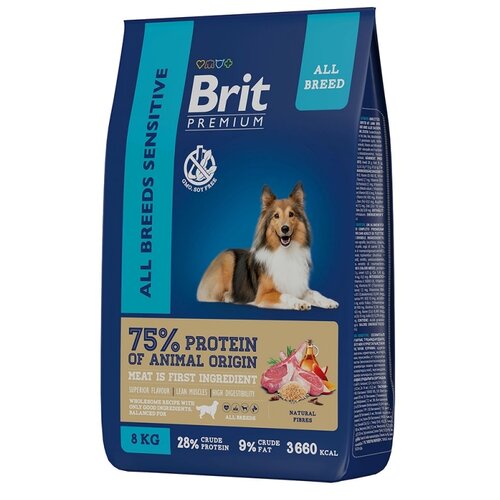        Brit Premium, ,   1 .  1 .  8000    -     , -  