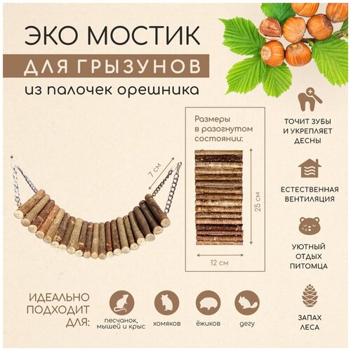 ���� ������ ���������� ��������� ��� �����, ��������, ����, ��������, ����, ������� ������, ������, �������� 12�25��, ������ ������