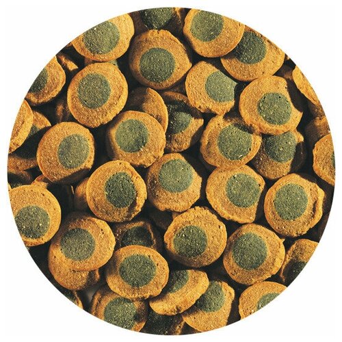  TetraPleco Spirulina Wafers 140 (      )   -     , -  