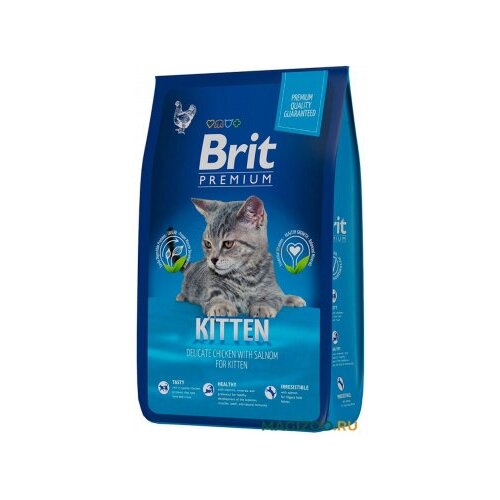  Brit () Premium Cat Kitten         0,8    -     , -,   