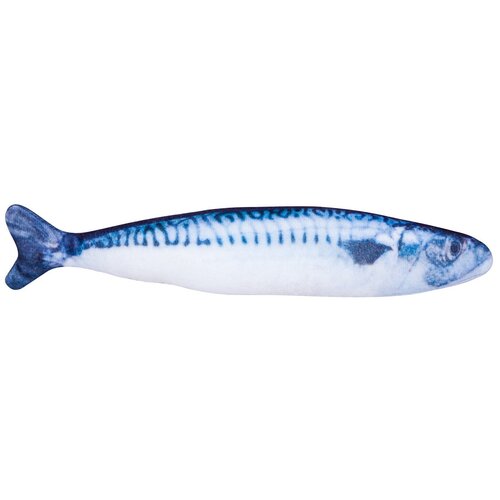 ���� ����������� - ������� ��� ����� 