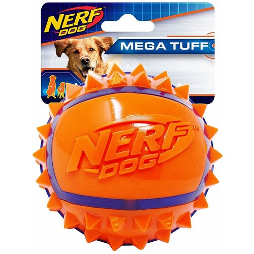     Nerf Dog      , 6    -     , -  