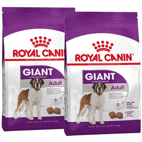  ROYAL CANIN GIANT ADULT      (4 + 4 )   -     , -  