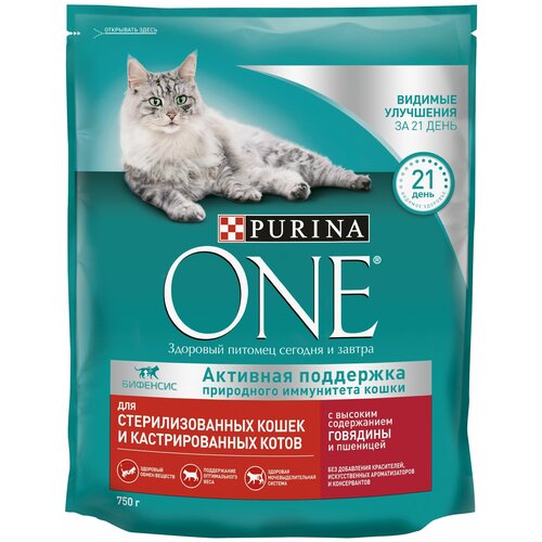    Purina ONE      ,      , , 750   1    -     , -  