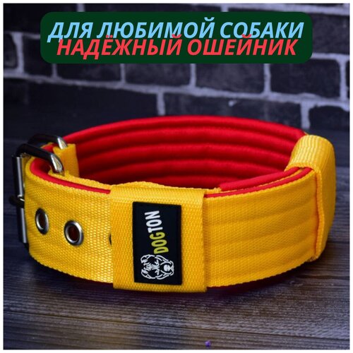 ���� ������� ��� ����� DOGTON. ������� ������� 5.5 ��. ������ ������. ������� ��������. ������� ���������. ������ ��� 35-47, ������ ������