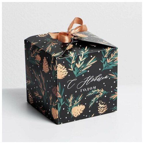 ���� ������ ������� ������� �������� ������, 12 ? 12 ? 12 ��, ������ ������