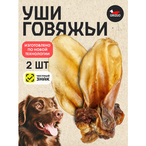 ���� ��� ������� 2�� �������������, ������ ������