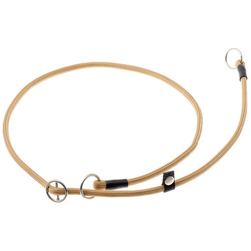 ���� �������� ���� ������� ZooOne (co ��������) � 2-� �������� ������� 6 ��, ����� �������� 90 ��, ������ ��� 90 ��, 1 ��., ������, ������ ������