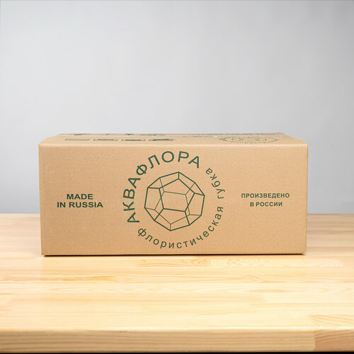 ���� �������������� ����� 20 ����, ����� ��������������, ������ ������