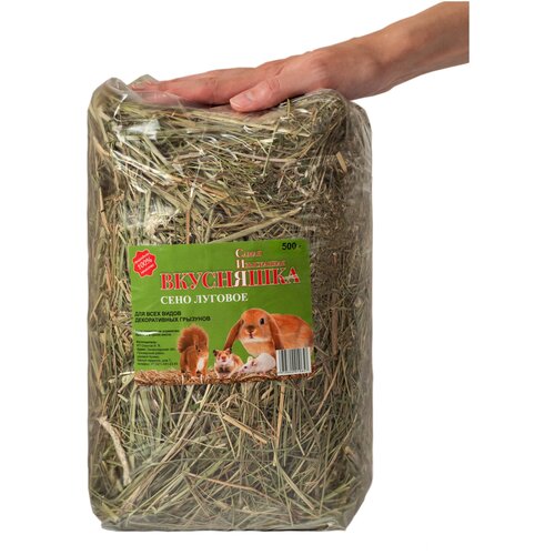 ���� ���� ������� ������� 500 ��, ������ ������