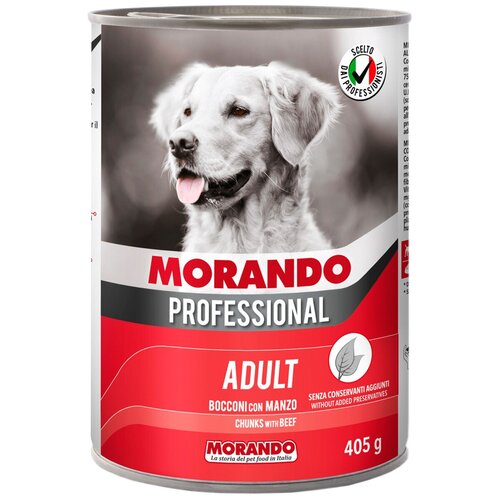  Morando Professional       , 405,   -     , -,   