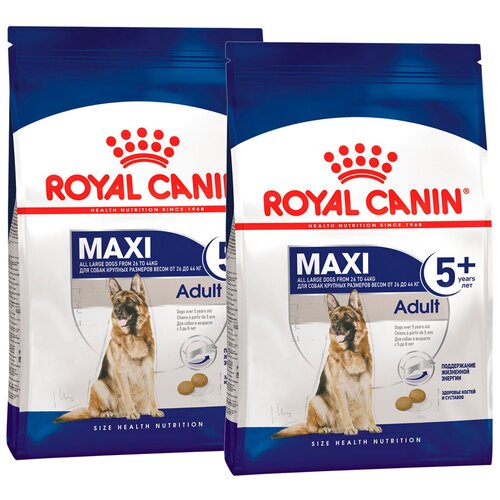  ROYAL CANIN MAXI ADULT 5+       5  (4 + 4 )   -     , -  