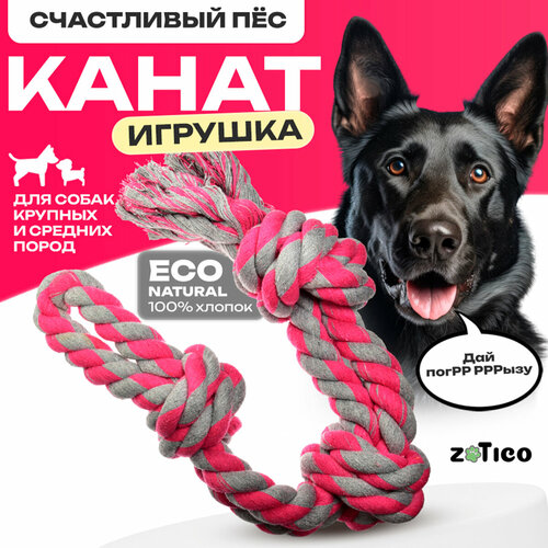 ���� ����� ��� ����� ZOTICO - ������� ��� ������� � ������� �����, ������ ������