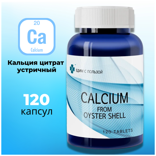 ���� ������� ������ ���������, 120 ��������, 500 ��. ����������� �������� ������, ������ ������