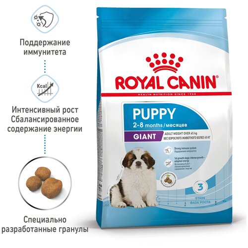      Royal Canin    1 .  2 .  15000  (  ),  