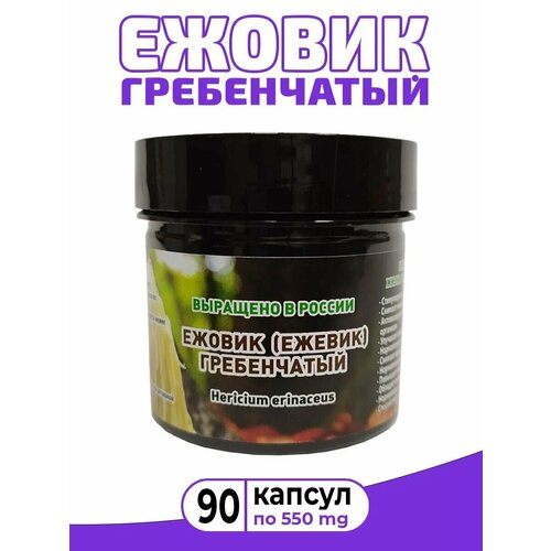 ���� ������ (������) ����������� /���� ������� ����� /Lions mane /�������� 90 ������ �� 550 ��, ������ ������