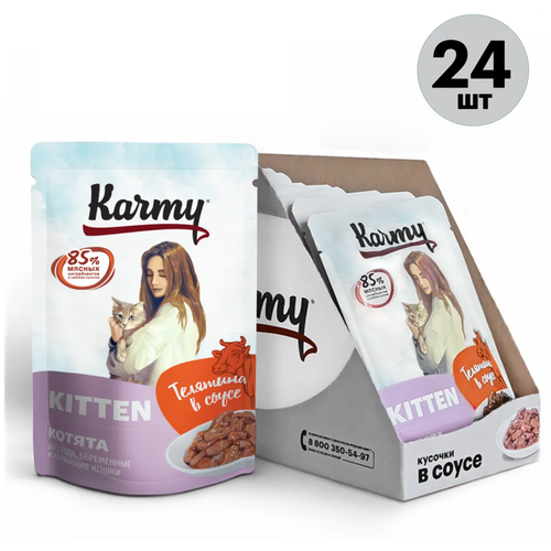    Karmy KITTEN       1 ,     80 (24 )   -     , -,   