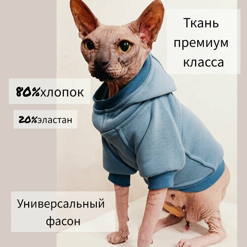 ���� ��������� � ��������� ��� ����� � ����� ������ ����� (��������), ������ ������