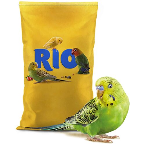  RIO  Daily feed   , 20   -     , -  