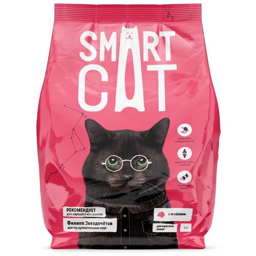 ���� ���� ��� ����� Smart Cat � �������� 5000 �, ������ ������