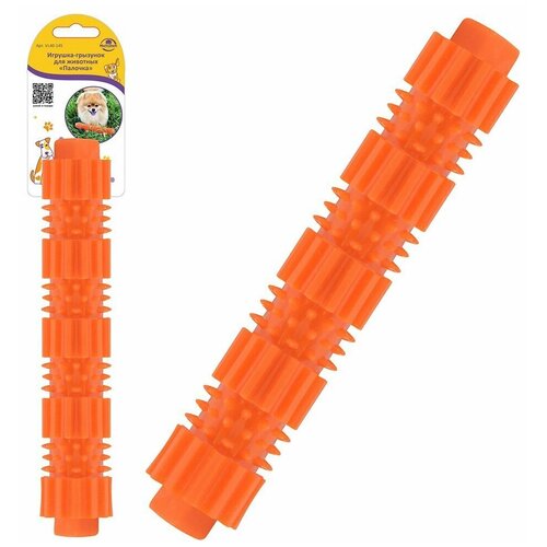 ���� �������-�������� ��� �������� 