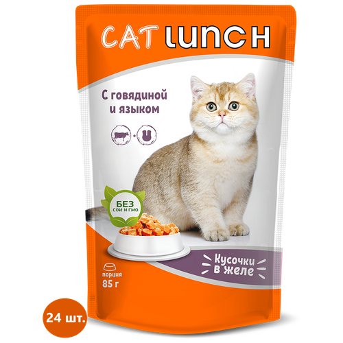  Cat Lunch      ,  (0.085 ) 24  (2 )   -     , -,   