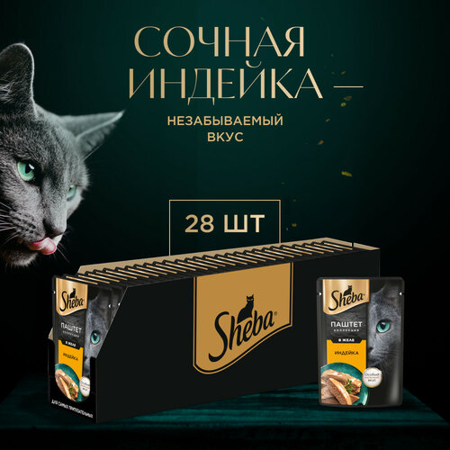      SHEBA    ,  , 28   75   -     , -  