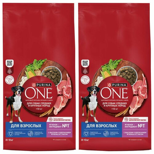   210 Purina One 10              10    -     , -  