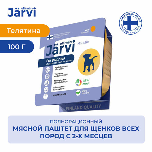  Jarvi          2-  100 .   -     , -  