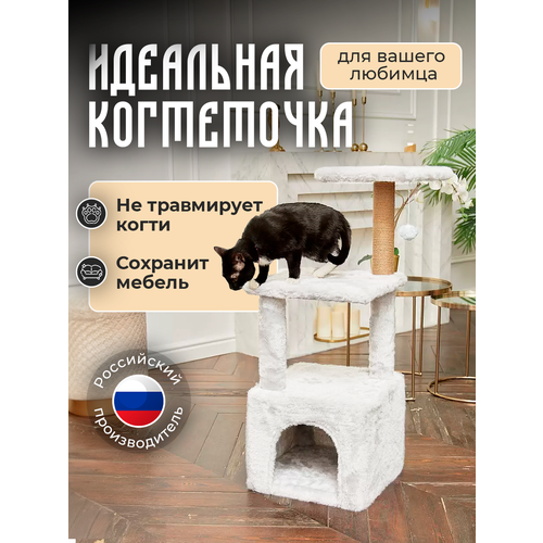 ���� ���������� � ������� ��� ����� ���� �����, 35�35�93��, ������ ������